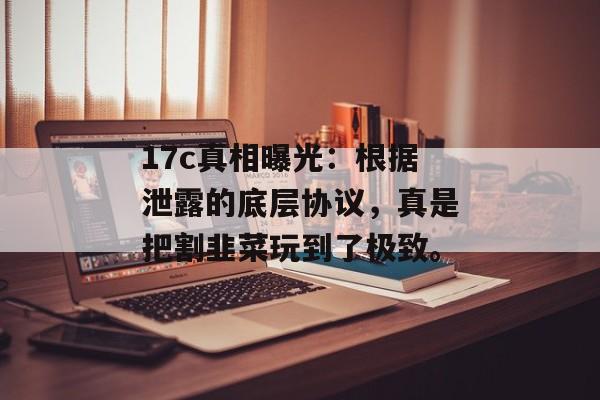 17c真相曝光：根据泄露的底层协议，真是把割韭菜玩到了极致。